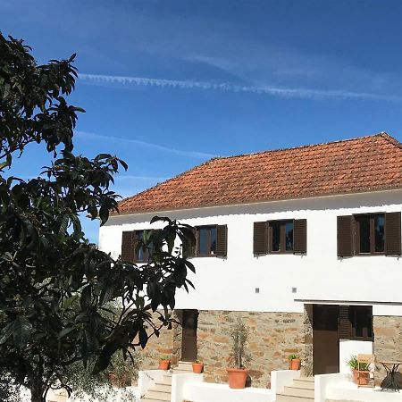 Casa Da Oliveira Bed & Breakfast Педроган Гранди Екстериор снимка