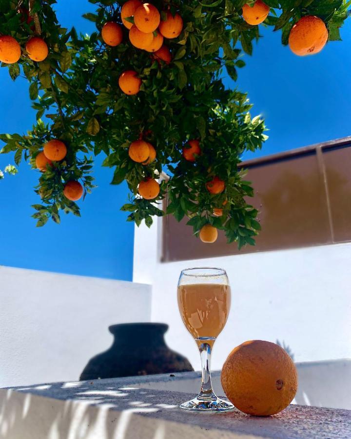 Casa Da Oliveira Bed & Breakfast Педроган Гранди Екстериор снимка