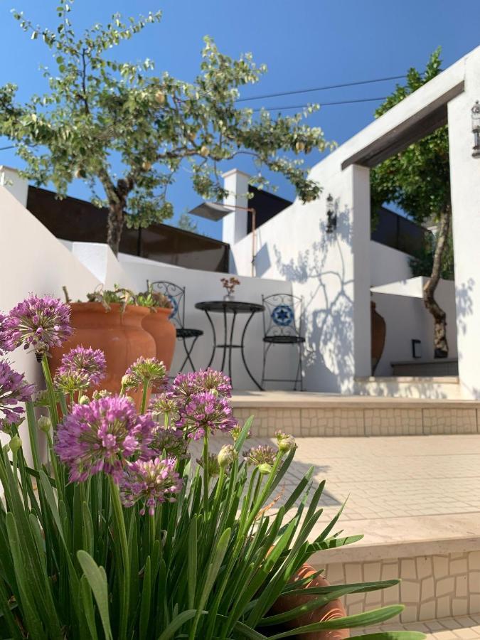 Casa Da Oliveira Bed & Breakfast Педроган Гранди Екстериор снимка