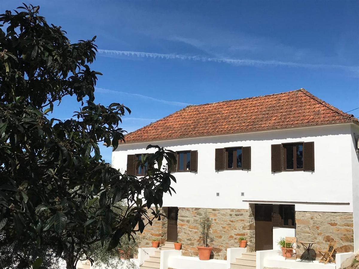 Casa Da Oliveira Bed & Breakfast Педроган Гранди Екстериор снимка