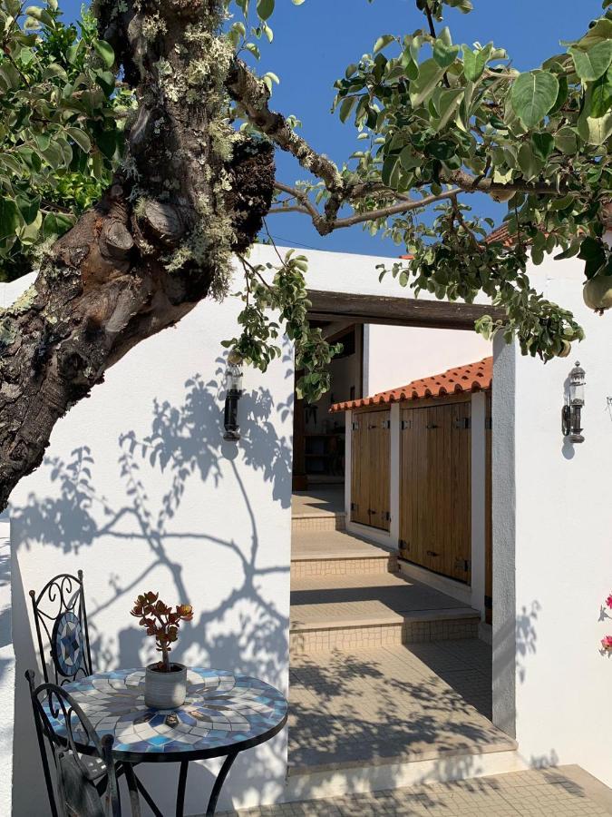 Casa Da Oliveira Bed & Breakfast Педроган Гранди Екстериор снимка
