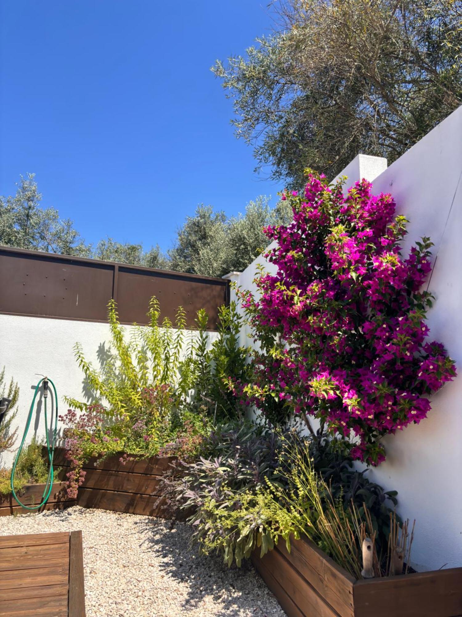Casa Da Oliveira Bed & Breakfast Педроган Гранди Екстериор снимка