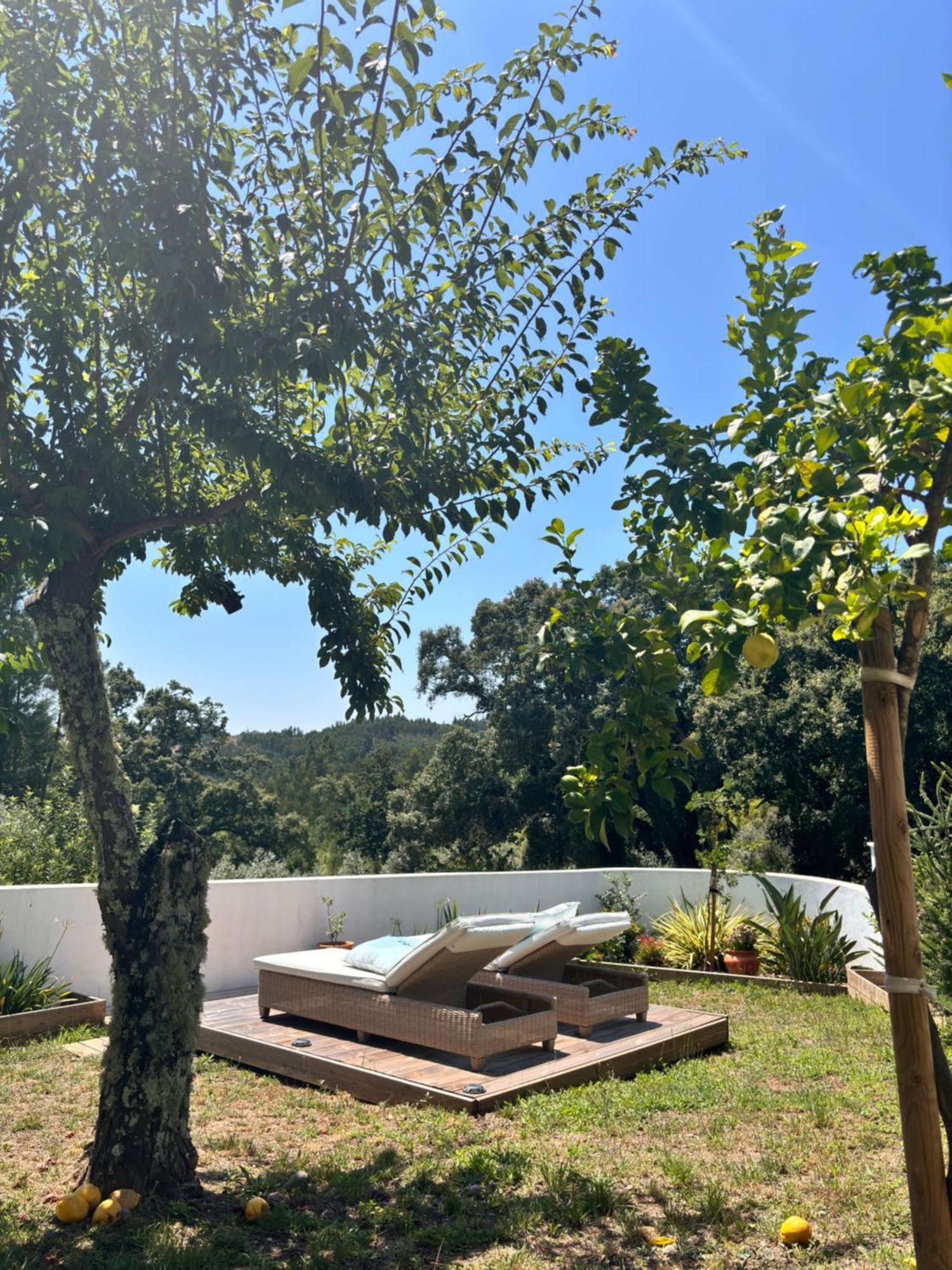 Casa Da Oliveira Bed & Breakfast Педроган Гранди Екстериор снимка