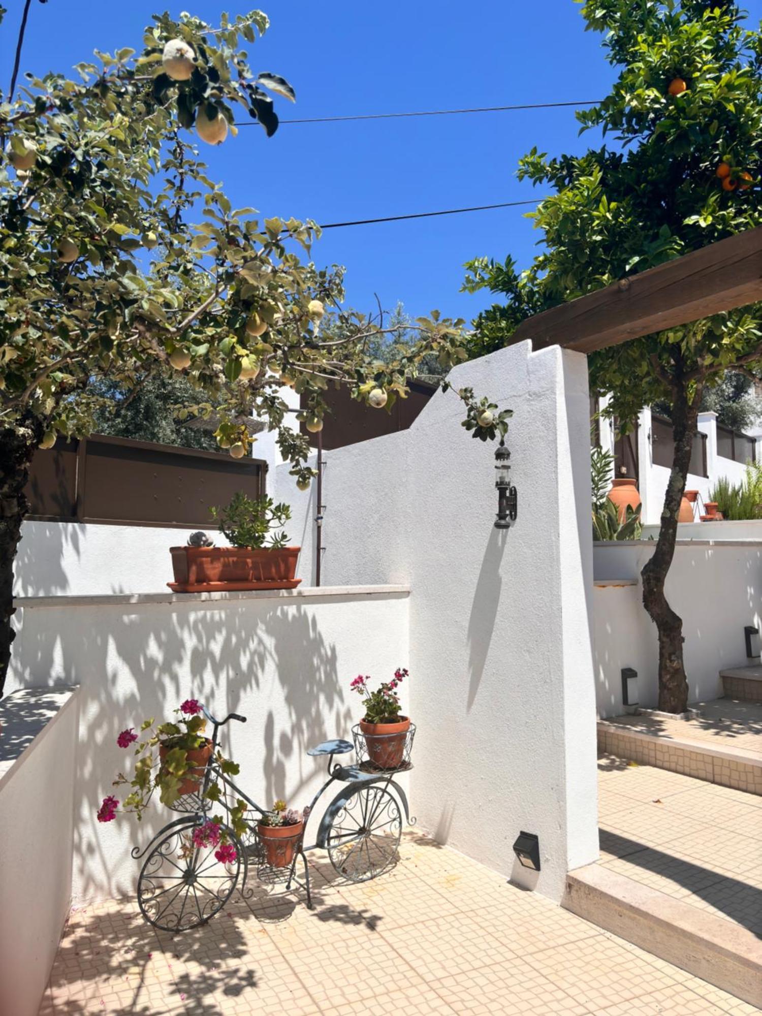 Casa Da Oliveira Bed & Breakfast Педроган Гранди Екстериор снимка